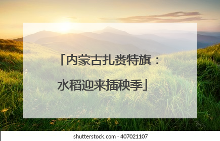 内蒙古扎赉特旗：水稻迎来插秧季