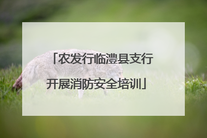农发行临澧县支行开展消防安全培训