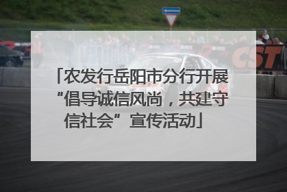 农发行岳阳市分行开展“倡导诚信风尚，共建守信社会”宣传活动