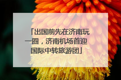 出国前先在济南玩一圈，济南机场首迎国际中转旅游团