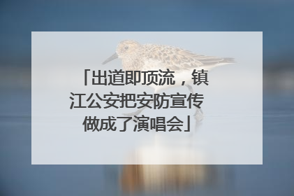 出道即顶流，镇江公安把安防宣传做成了演唱会