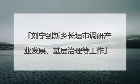 刘宁到新乡长垣市调研产业发展、基层治理等工作