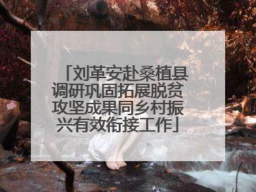 刘革安赴桑植县调研巩固拓展脱贫攻坚成果同乡村振兴有效衔接工作