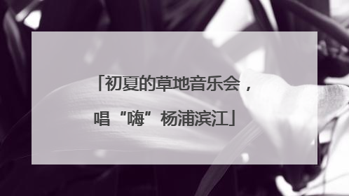 初夏的草地音乐会，唱“嗨”杨浦滨江