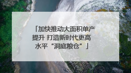 加快推动大面积单产提升 打造新时代更高水平“洞庭粮仓”