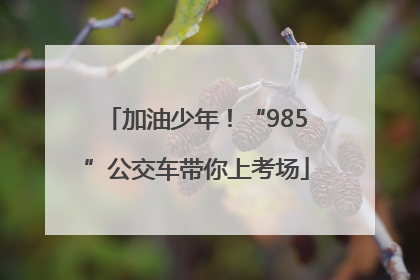 加油少年！“985”公交车带你上考场
