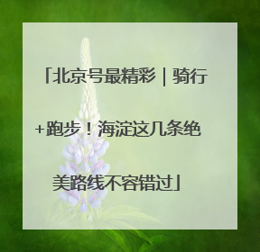 北京号最精彩｜骑行+跑步！海淀这几条绝美路线不容错过