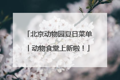 北京动物园夏日菜单丨动物食堂上新啦！