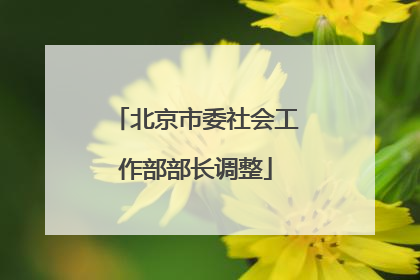 北京市委社会工作部部长调整