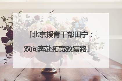 北京援青干部田宁：双向奔赴拓宽致富路