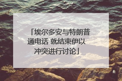 埃尔多安与特朗普通电话 就结束伊以冲突进行讨论