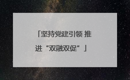 坚持党建引领 推进“双融双促”