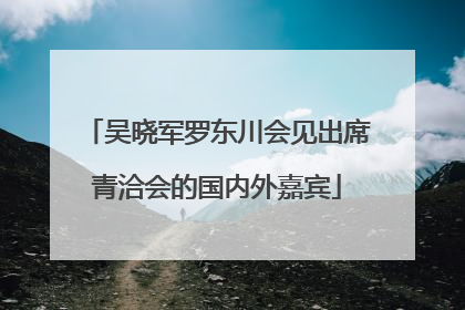 吴晓军罗东川会见出席青洽会的国内外嘉宾