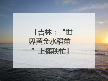 吉林：“世界黄金水稻带”上插秧忙