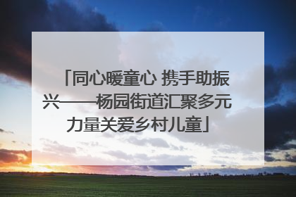 同心暖童心 携手助振兴——杨园街道汇聚多元力量关爱乡村儿童