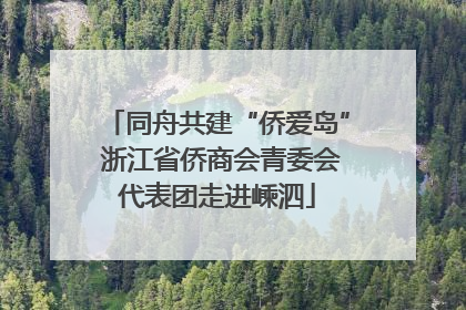 同舟共建“侨爱岛” 浙江省侨商会青委会代表团走进嵊泗