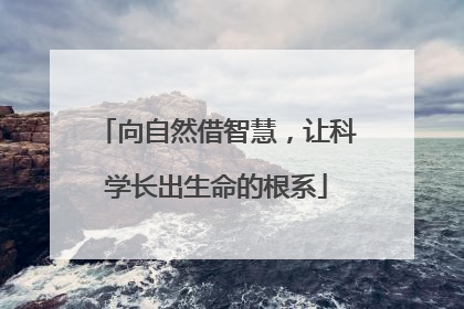 向自然借智慧，让科学长出生命的根系