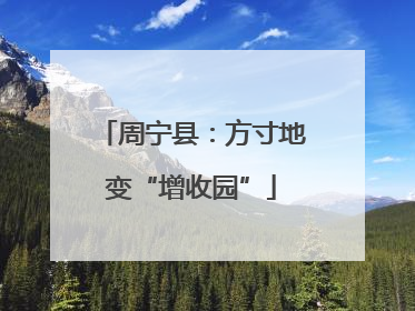 周宁县：方寸地变“增收园”