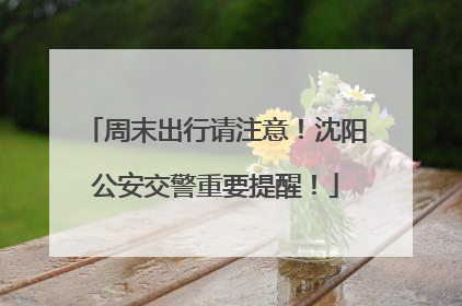周末出行请注意！沈阳公安交警重要提醒！