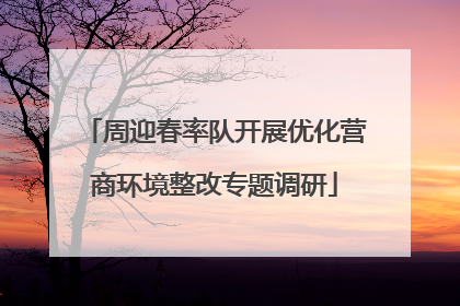 周迎春率队开展优化营商环境整改专题调研