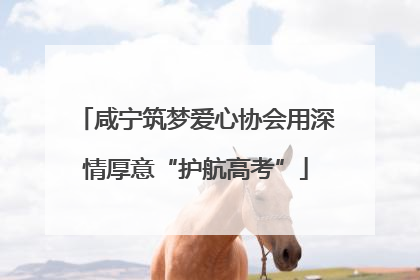 咸宁筑梦爱心协会用深情厚意“护航高考”