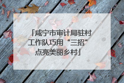 咸宁市审计局驻村工作队巧用“三招”点亮美丽乡村