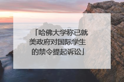 哈佛大学称已就美政府对国际学生的禁令提起诉讼