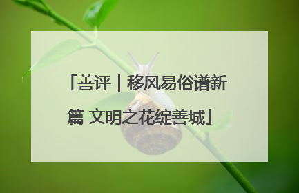 善评｜移风易俗谱新篇 文明之花绽善城