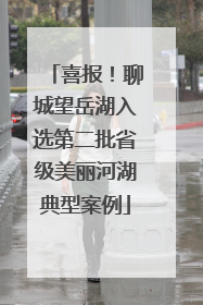 喜报！聊城望岳湖入选第二批省级美丽河湖典型案例
