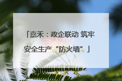 嘉禾：政企联动 筑牢安全生产“防火墙”