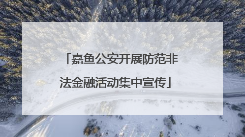 嘉鱼公安开展防范非法金融活动集中宣传