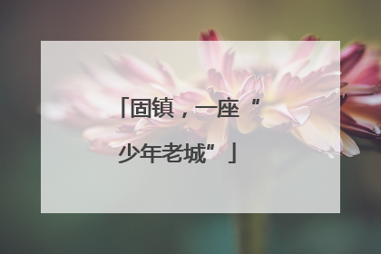 固镇，一座“少年老城”