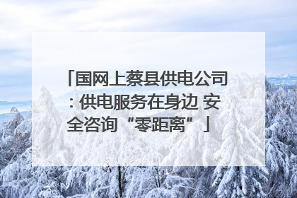 国网上蔡县供电公司：供电服务在身边 安全咨询“零距离”