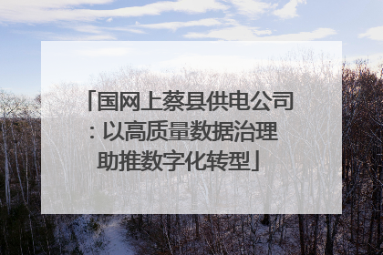 国网上蔡县供电公司：以高质量数据治理 助推数字化转型
