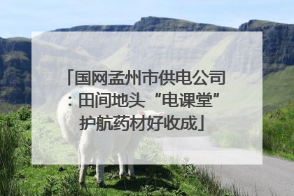 国网孟州市供电公司：田间地头“电课堂”  护航药材好收成