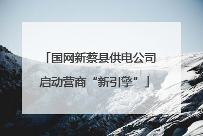 国网新蔡县供电公司启动营商“新引擎”