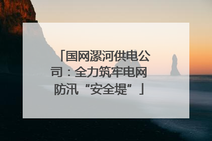 国网漯河供电公司：全力筑牢电网防汛“安全堤”