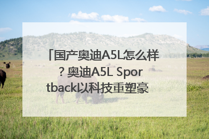 国产奥迪A5L怎么样？奥迪A5L Sportback以科技重塑豪华运动轿车市场格局