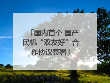 国内首个 国产民机“双友好”合作协议签署