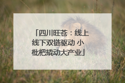 四川旺苍：线上线下双链驱动 小枇杷撬动大产业