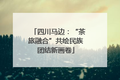 四川马边：“茶旅融合”共绘民族团结新画卷