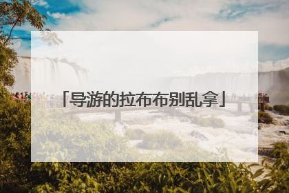 导游的拉布布别乱拿