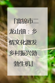 富锦市二龙山镇：乡情文化激发乡村振兴勃勃生机