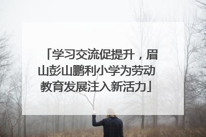 学习交流促提升，眉山彭山鹏利小学为劳动教育发展注入新活力