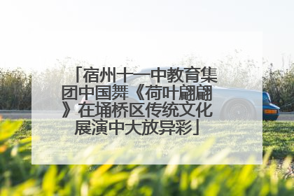 宿州十一中教育集团中国舞《荷叶翩翩》在埇桥区传统文化展演中大放异彩