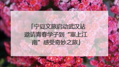 宁夏文旅启动武汉站 邀请青春学子到“塞上江南”感受奇妙之旅