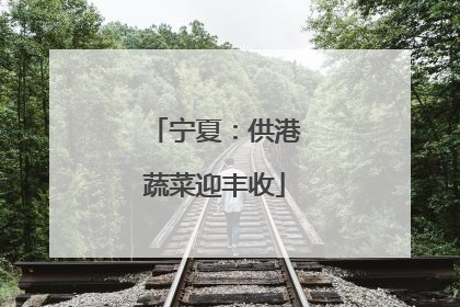 宁夏：供港蔬菜迎丰收