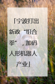 宁波打出新政“组合拳”，加码人形机器人产业