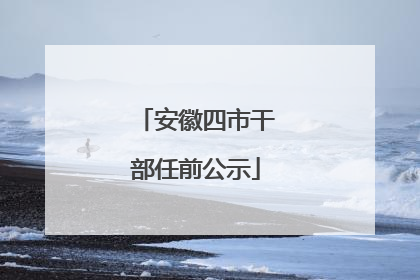 安徽四市干部任前公示