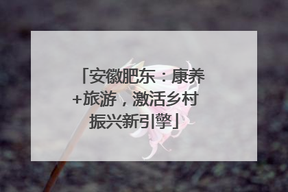 安徽肥东：康养+旅游，激活乡村振兴新引擎